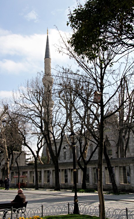 Aya Sofia